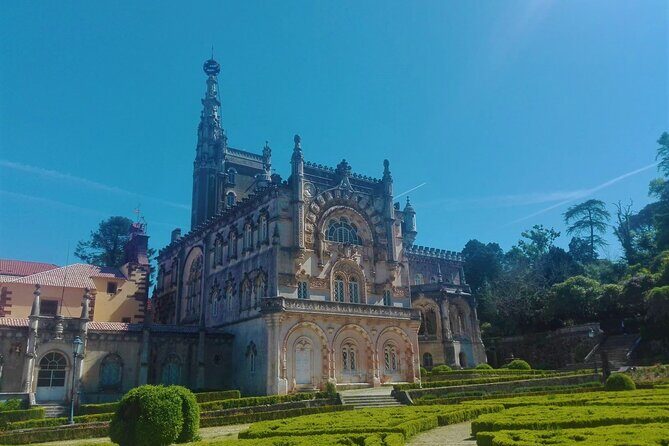 Bussaco Forest Walking Experience, half day from Coimbra - The Sum Up