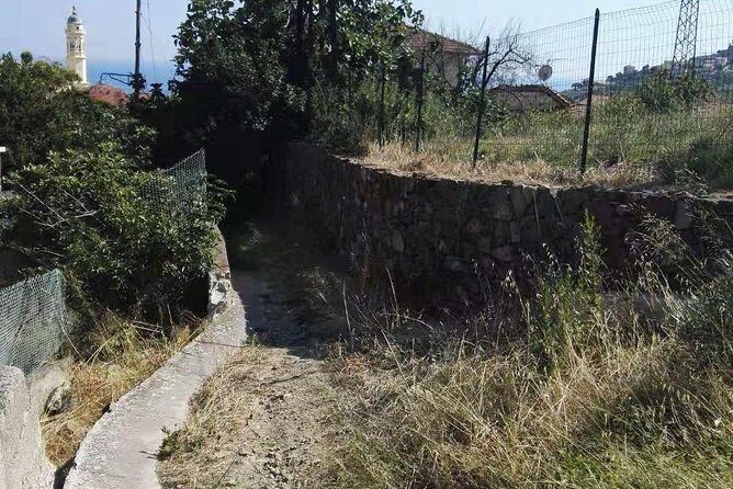 Bussana: a ghost village saved by art - A Detailed Look at the Experience