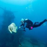 Busselton / Dunsborough : HMAS Swan Wreck Scuba Dive - The Value of the HMAS Swan Wreck Tour
