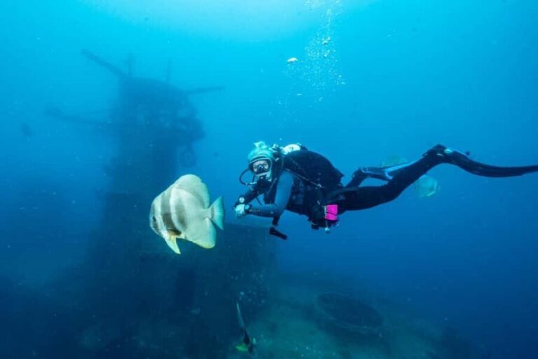 Busselton / Dunsborough : HMAS Swan Wreck Scuba Dive - The Value of the HMAS Swan Wreck Tour
