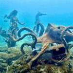 Busselton: Jetty Snorkeling Tour with Underwater Sculptures - The Value: Is It Worth the Cost?