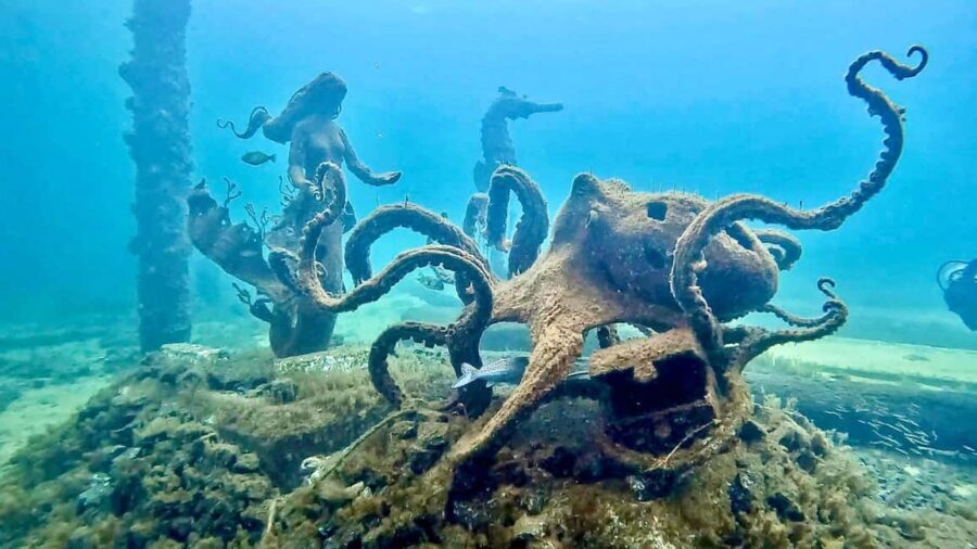 Busselton: Jetty Snorkeling Tour with Underwater Sculptures - The Value: Is It Worth the Cost?