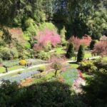 Butchart & Beyond: The Grand Victoria Tour - Transportation and Comfort