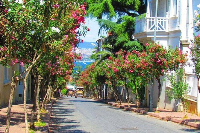 Buyukada Princes Island Guided Day Tour with lunch from Istanbul - Authentic Experiences and Authentic Challenges