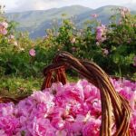 Buzludzha Monument and the Rose Valley Guided Day Tour - A Detailed Look at the Itinerary