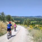 By Ebike: Visit an Art Park and Wine Taste in the Classic Chianti - What You Can Expect: The Practical Side of This Tour