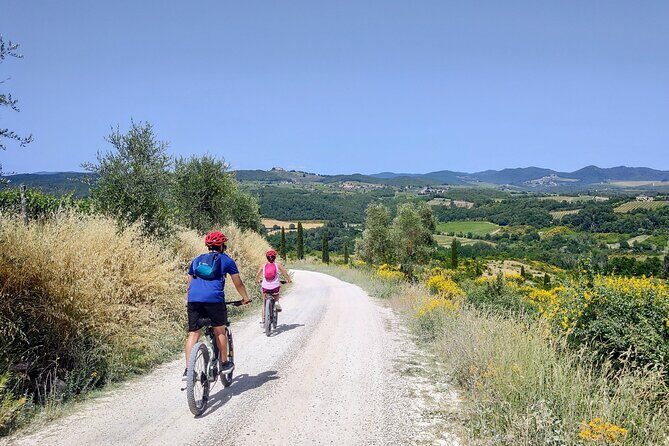 By Ebike: Visit an Art Park and Wine Taste in the Classic Chianti - What You Can Expect: The Practical Side of This Tour