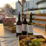Bydgoszcz: River Cruise with local Wine and Cheese Tasting - Price and Value