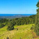 Byron Bay and Bangalow from Gold Coast - Frequently Asked Questions