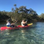 Byron Bay: Brunswick River Scenic Kayak Tour - Who Should Consider This Tour?