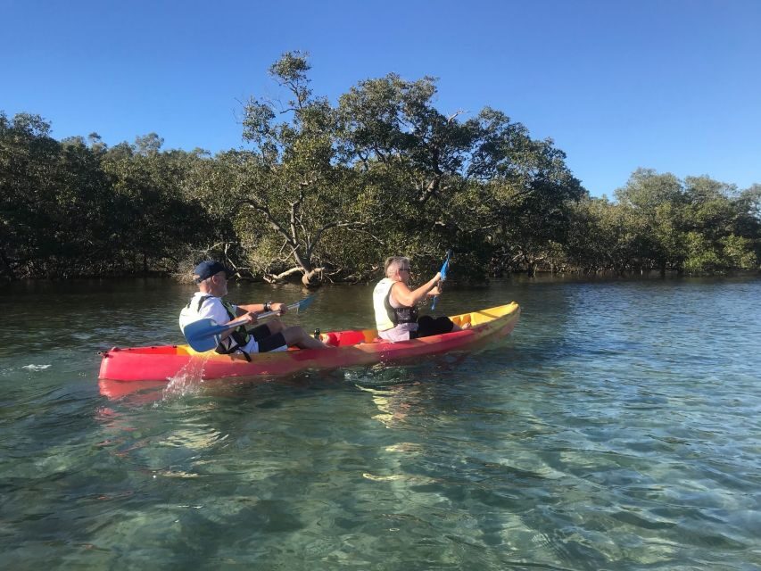Byron Bay: Brunswick River Scenic Kayak Tour - Who Should Consider This Tour?