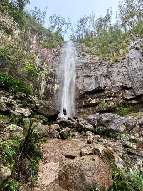 Byron Bay: Glowworms, Waterfalls & Rainforest Experience - A Deep Dive into the Byron Bay Rainforest, Waterfalls & Glowworms Adventure