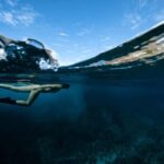 Byron Bay: Snorkeling Tour at Julian Rocks, Nguthungulli - The Sum Up