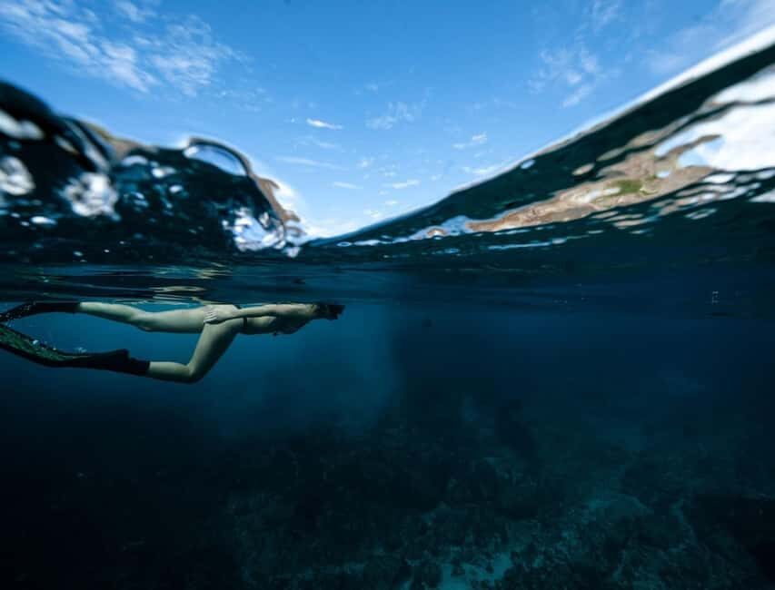 Byron Bay: Snorkeling Tour at Julian Rocks, Nguthungulli - The Sum Up