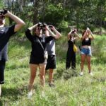 Byron Bay Wild Koala Tour - Who Should Take This Tour?