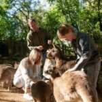 Byron Bay Wildlife Sanctuary Entry Ticket - Analyzing the Value