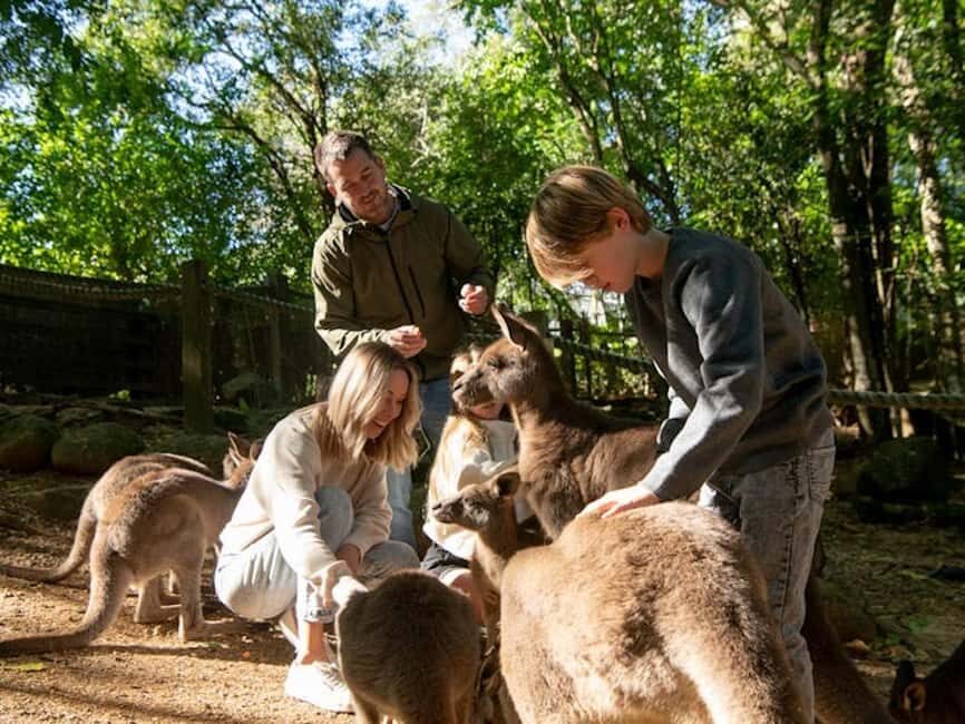 Byron Bay Wildlife Sanctuary Entry Ticket - Analyzing the Value