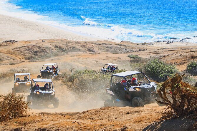 Cabo Adventure Combo: Beach UTV & Sky Bike Ride - Real Voices: What Travelers Say