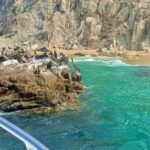 Cabo Arch Glass Bottom Boat: Hotel PICKUP, Arch & Lovers Beach - Frequently Asked Questions