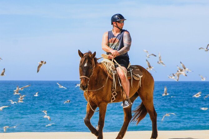 Cabo ATV Adventure with Camel and Horseback Ride - Who Will Love This Tour?