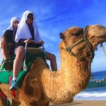 Cabo Camel and Safari Ride - What We Think About the Value