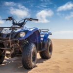 Cabo Camel Ride: Beach Safari, Tequila Tasting & Buffet - Who Will Love This Tour?