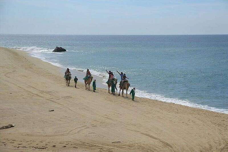 Cabo: Camel Ride On The Beach - Who Will Enjoy This Tour?
