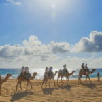 Cabo: Camel Safari Adventure with Tacos - The Sum Up