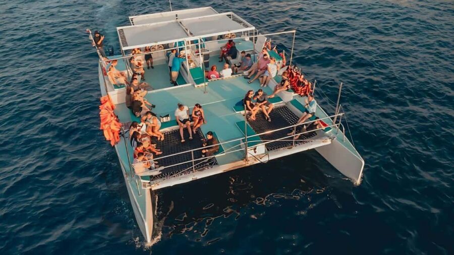 Cabo Catamaran Cruise  Arch, Snorkeling, Open Bar & Snacks - Deep Dive into the Experience