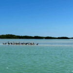 Cabo Catoche Snorkel And Fishing - The Depth of the Experience: A Detailed Breakdown