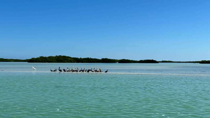 Cabo Catoche Snorkel And Fishing - The Depth of the Experience: A Detailed Breakdown