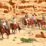 Cabo Desert ATV & Beach Horseback Combo enjoy adventure and beauty! - Who Should Consider This Tour?