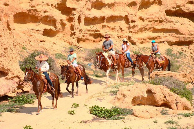Cabo Desert ATV & Beach Horseback Combo enjoy adventure and beauty! - Who Should Consider This Tour?