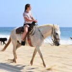 Cabo Desert Off-Road & Beach Horseback Combo and Tequila Tasting - Authentic Experiences and Authentic Guides