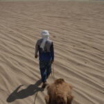 Cabo San Lucas: Amazing Camel Adventure on the Beach - Who Should Try This Tour?