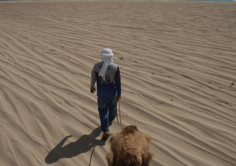 Cabo San Lucas: Amazing Camel Adventure on the Beach - Who Should Try This Tour?