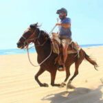 Cabo San Lucas: ATV/Camel/Horse Combo Tour - The Cost and What It Means for You