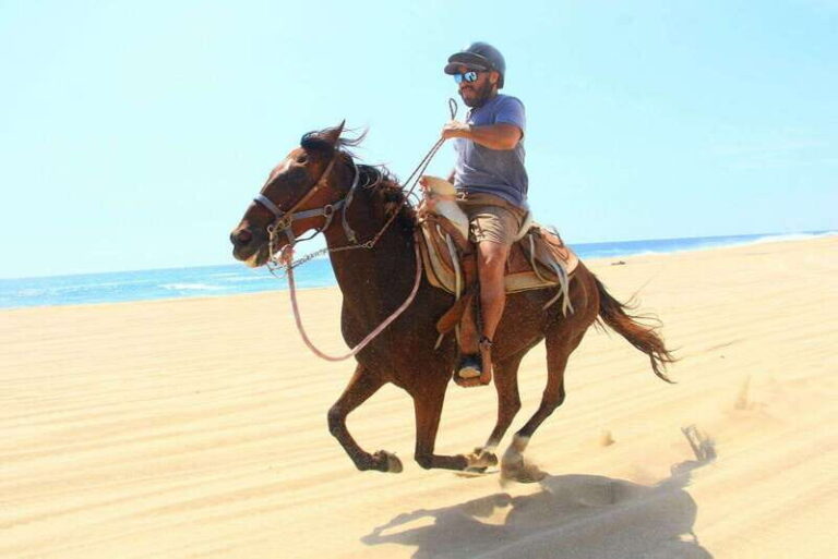 Cabo San Lucas: ATV/Camel/Horse Combo Tour - The Cost and What It Means for You