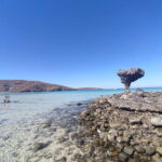 Cabo San Lucas: Balandra Beach and City Tour - An In-Depth Look at the Tour Experience