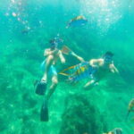 Cabo San Lucas: Beach Hopper Small-Group Snorkeling Tour - The experience in detail