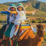 Cabo San Lucas: Camel Ride on the Beach - Detailed Review: Why This Tour Stands Out