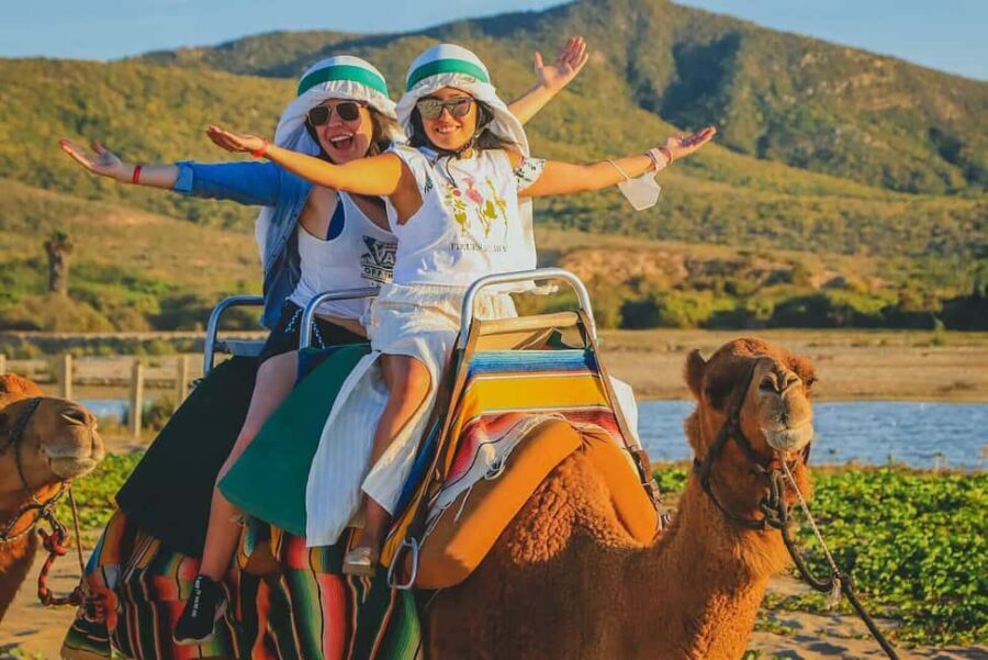 Cabo San Lucas: Camel Ride on the Beach - Detailed Review: Why This Tour Stands Out