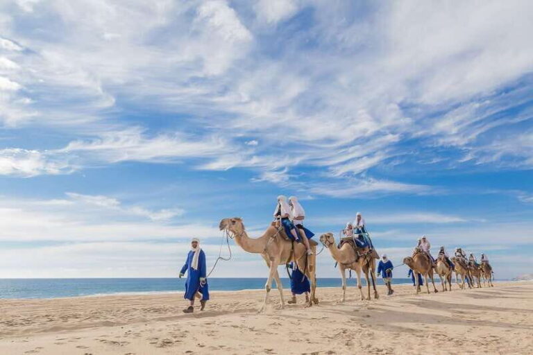 Cabo San Lucas: Camel Safari Tour with Lunch and Tequila - Authenticity, Value, and the Overall Worth