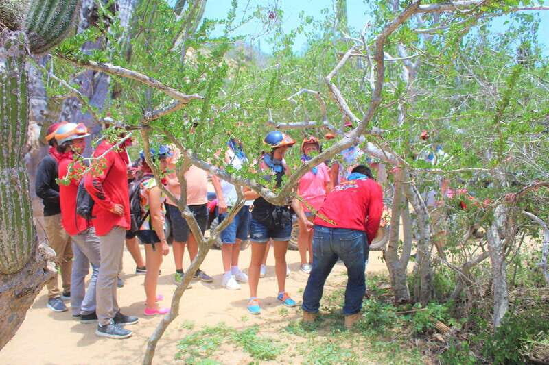 Cabo San Lucas: Candelaria Village ATV Tour - Who Should Consider This Tour?