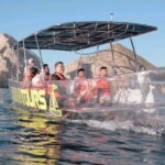 Cabo San Lucas: Clear Boat Tour - Comparing Similar Experiences