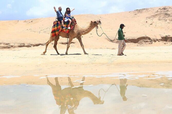 Cabo San Lucas Combo 2 in 1 Skybikes, ATV, RZR, Horses or Camel - What to Expect from the Tour