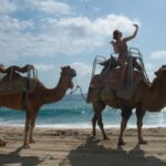 Cabo San Lucas: Combo Vehicle plus Camel or Horse Tour - Why This Tour Offers Good Value