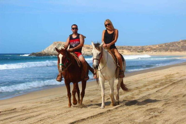 Cabo San Lucas: Desert and Beach RZR and Horseback Riding - Exploring Baja’s Landscapes on a RZR and Horseback