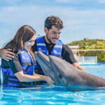 Cabo San Lucas: Dolphin Swim Class with Marine Specialist - Practical Tips for a Smooth Experience