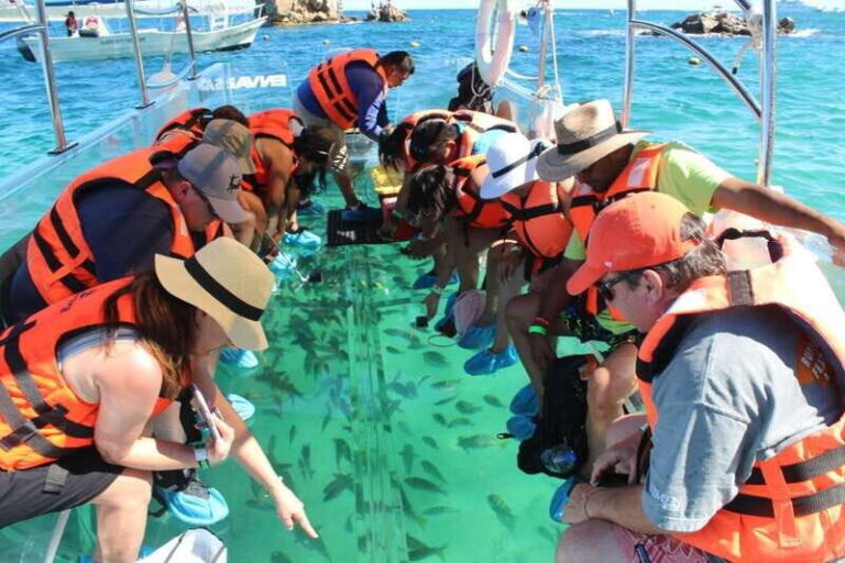 Cabo San Lucas: Glass Bottom Boat Tour to Land's End - Authentic Experiences and Tips for Travelers